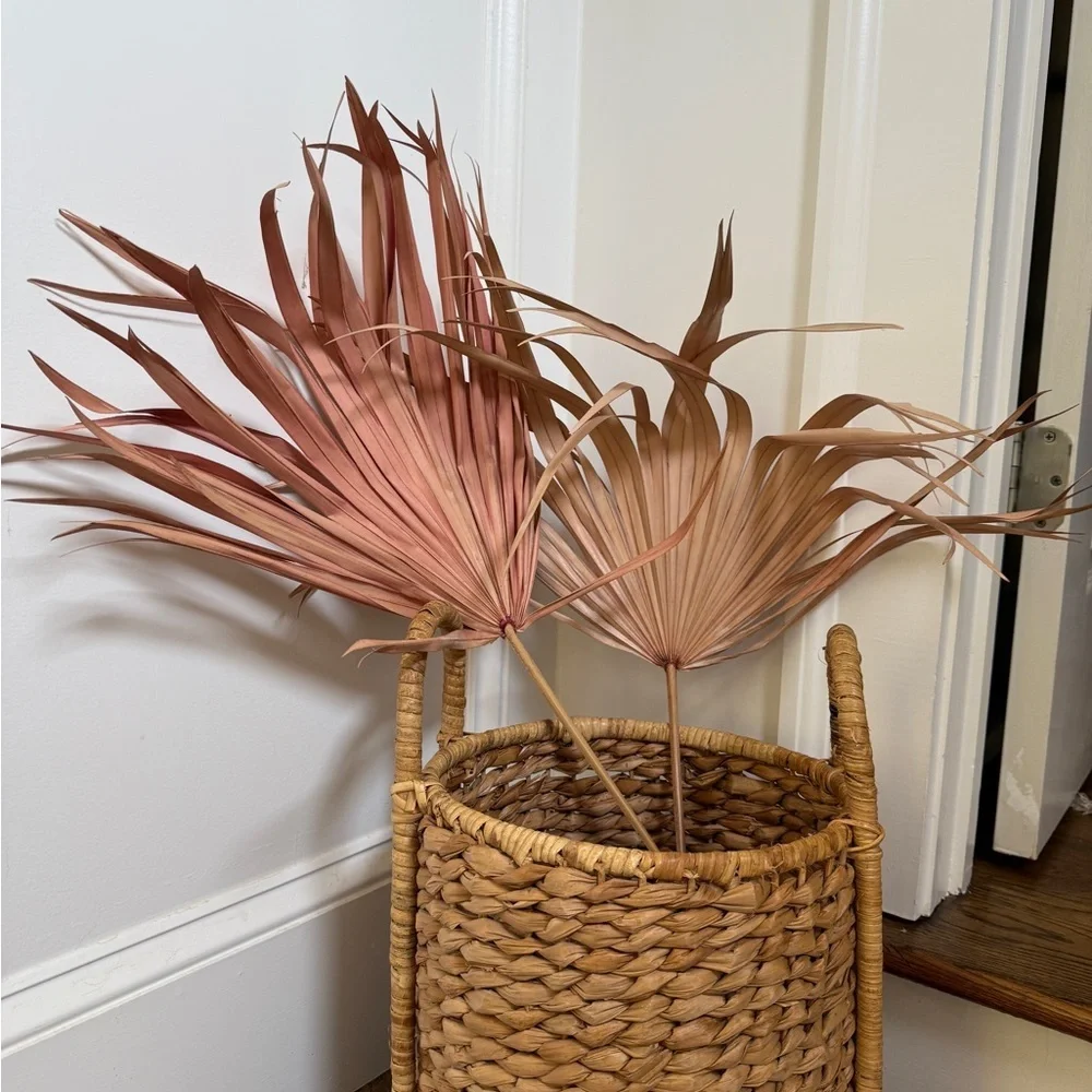 Anthropologie new this